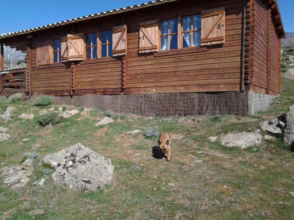 קלקוצ'יה Les Chalets De Lozzi מראה חיצוני תמונה